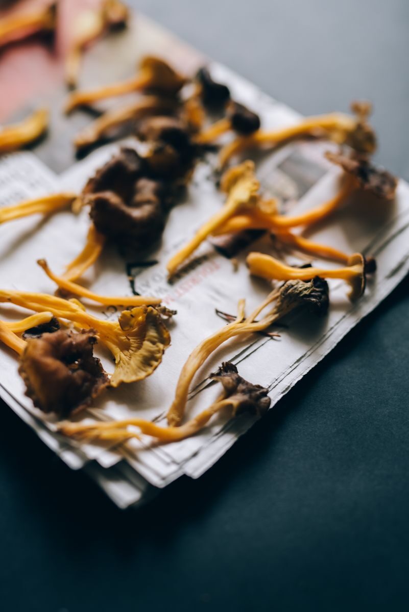 A collection of dried chanterelle mushrooms laid out on a newspaper spread.